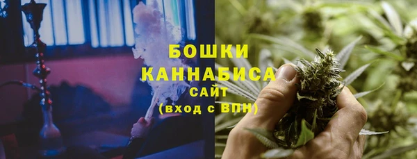 винт Абаза